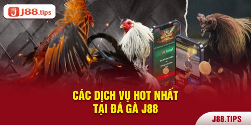 Các dịch vụ hót nhất tại sới gà j88