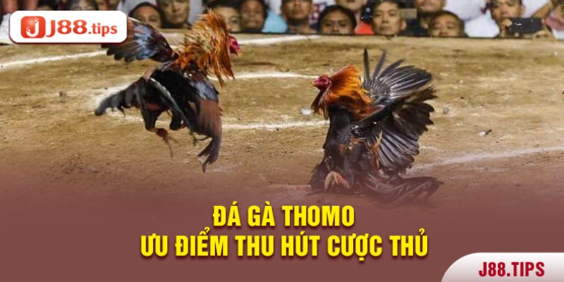 Ưu điểm thu hút mọi cược thủ