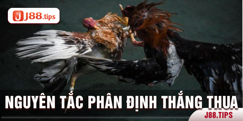 Nguyên tắc phân định thắng thua