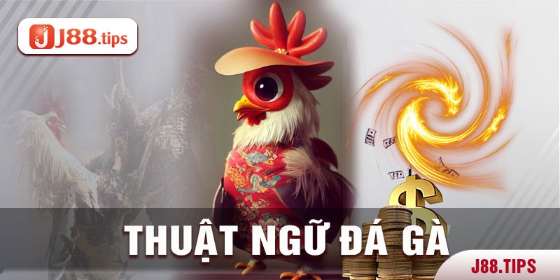 Những thuật ngữ phổ biến trong luật đá đá gà