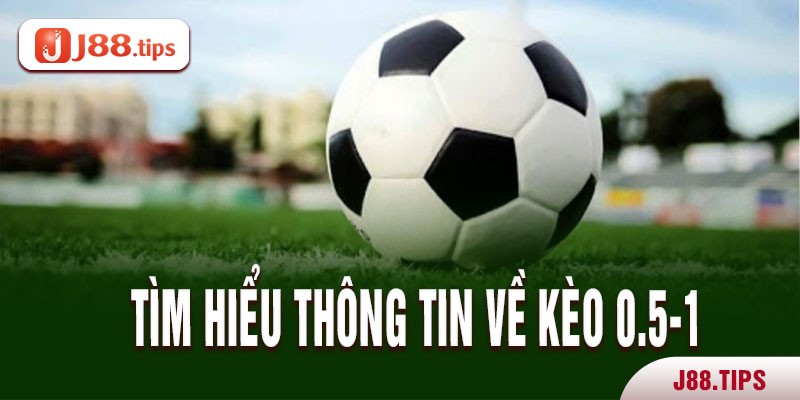 Tìm hiểu thông tin về kèo 0.5-1