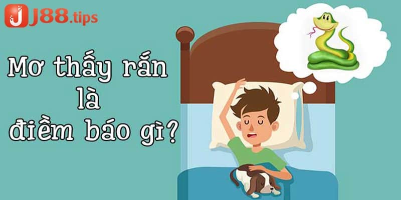 Khái niệm về mơ thấy rắn